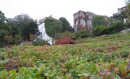 Montmartre : La Fête des Vendanges