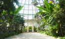 Bruxelles - Serres royales de Laeken