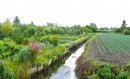 Amiens : Les Hortillonnages - Samedi 08 juillet 2023