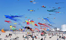 Berck-sur-Mer : Concours International des cerfs-volants.