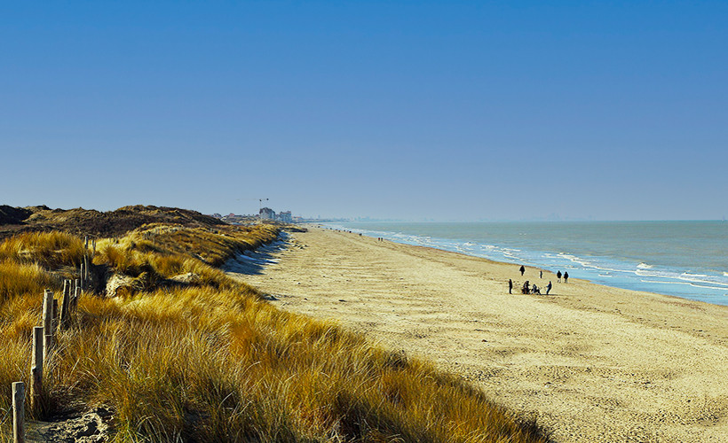 LA PANNE