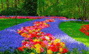 Keukenhof